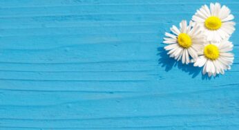 Benessere in primavera, i consigli per affrontarla al meglio
