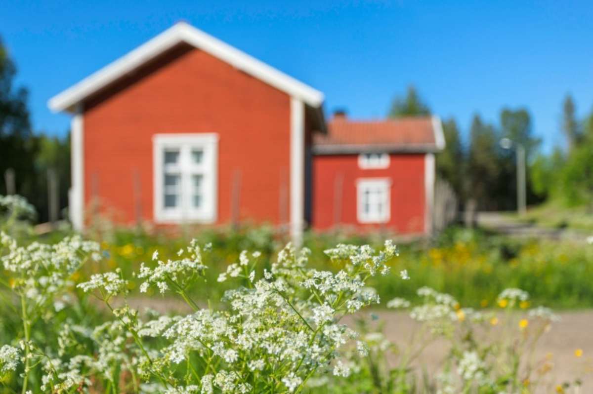 Casa immersa nel verde
