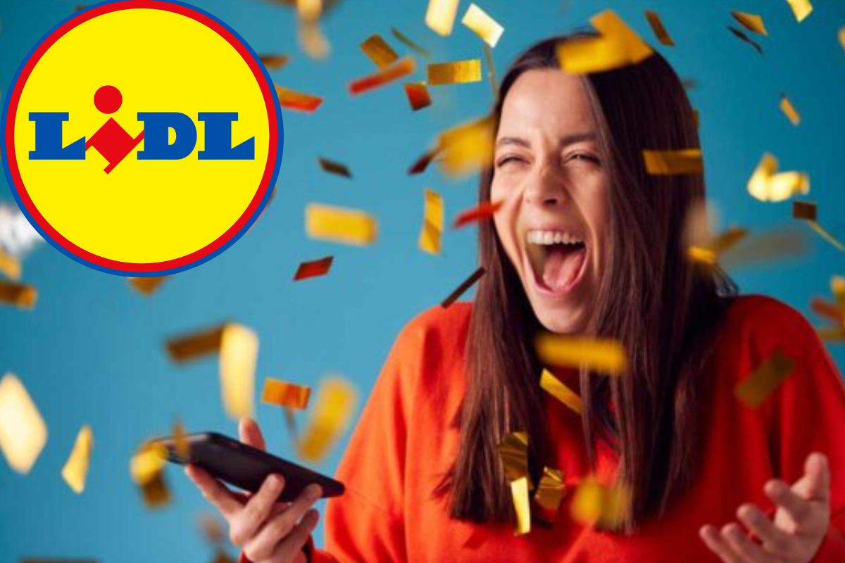Lidl dispositivo condizionatori